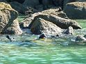 New_Zealand (340)